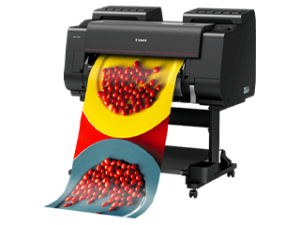 Canon imagePROGRAF PRO-2100